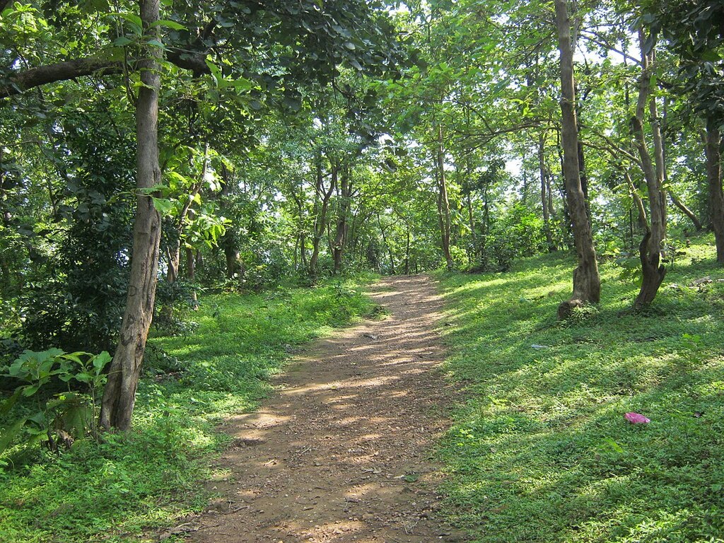 Jambughoda Wildlife Sanctuary,Gujarat