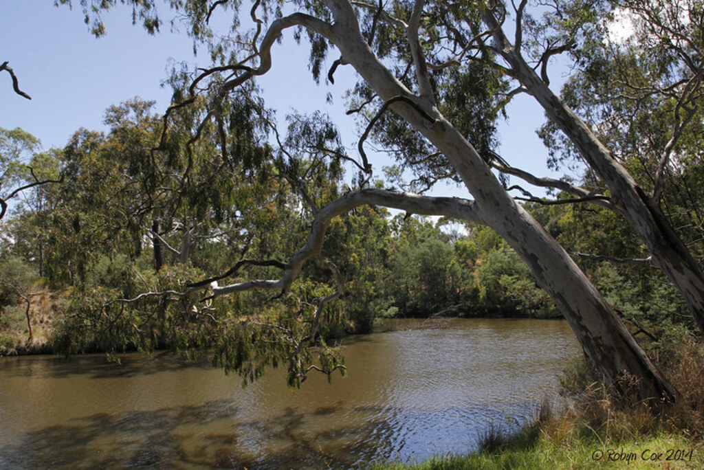 Yarra Bend Park, Melbourne