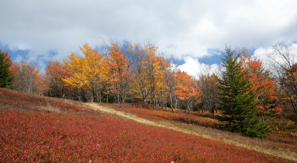 Canaan Valley Resort Park