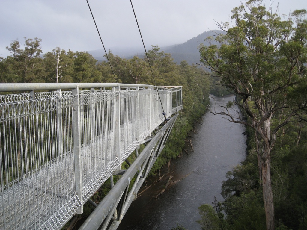 Tahune-Forest-AirWalk-Cantilever-2008