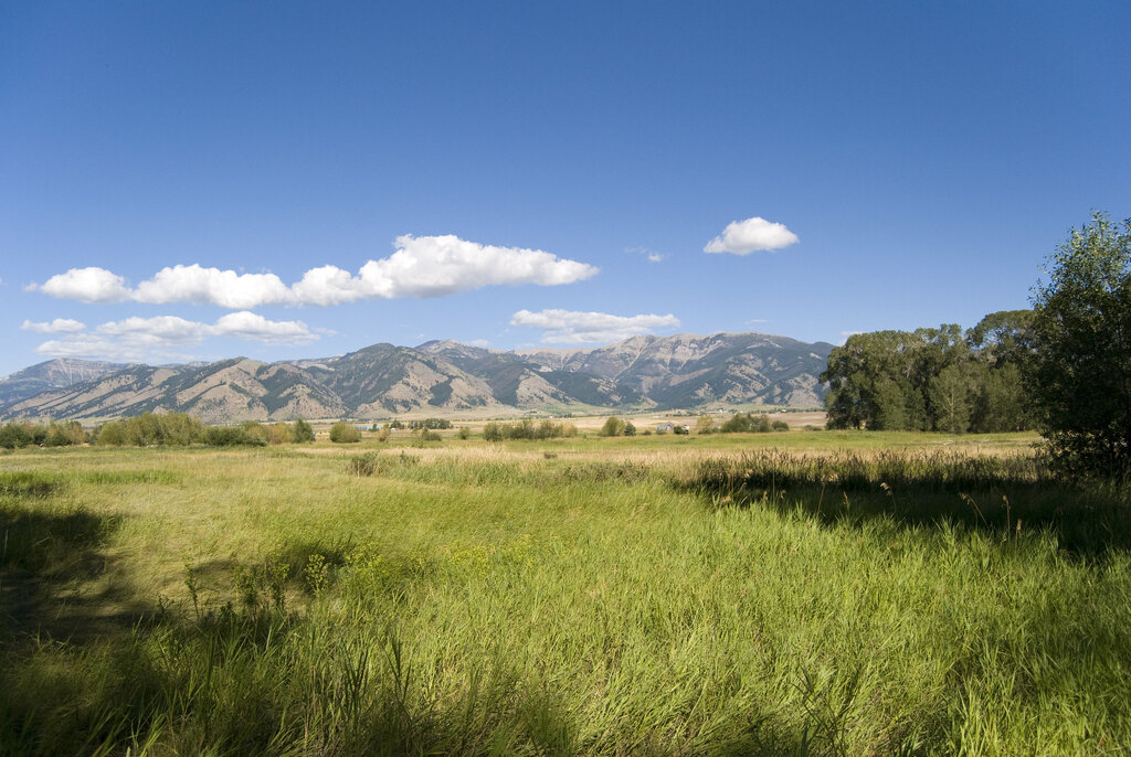 Bozeman, MT