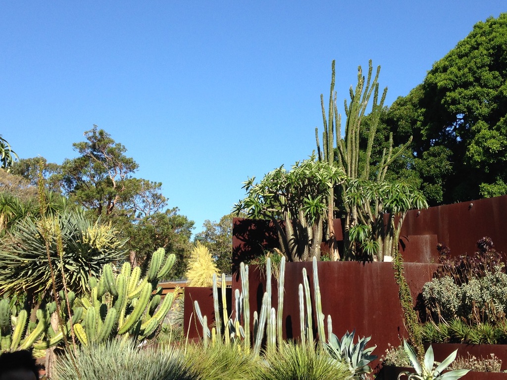 family friendly things to do in sydney | relax amidst the beautiful royal botanic garden