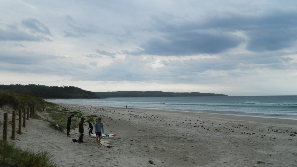 family friendly things to do in sydney | immerse in nature at the royal national park