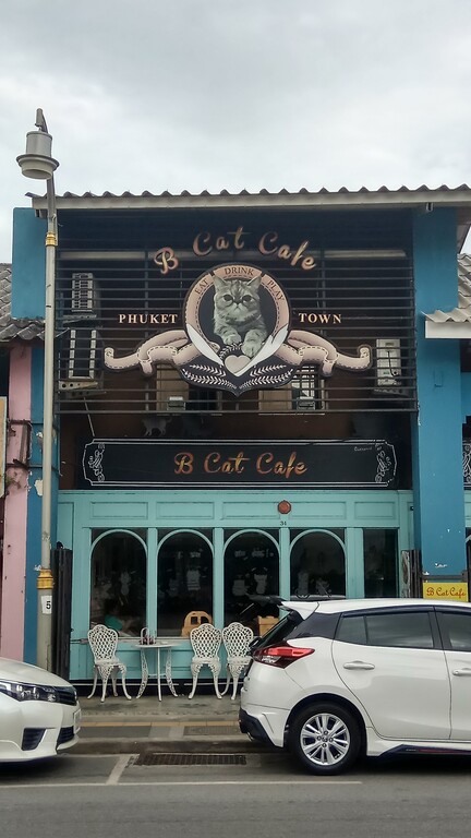  B Cat Café