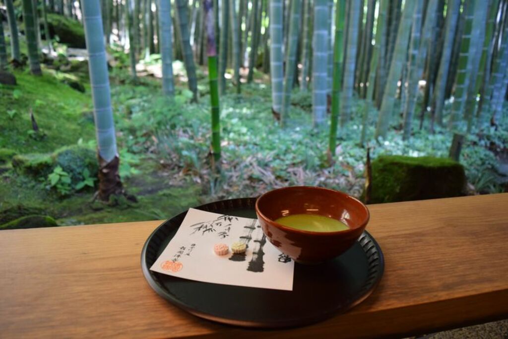 Sip green tea amidst the bamboos of Hokokuji