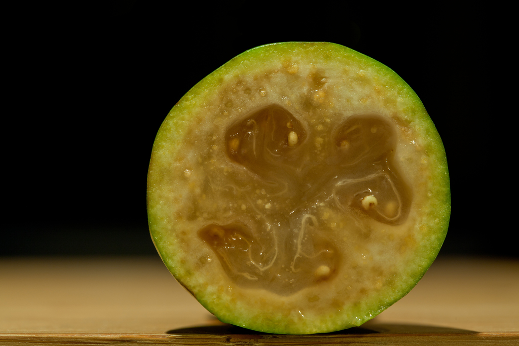 Feijoa
