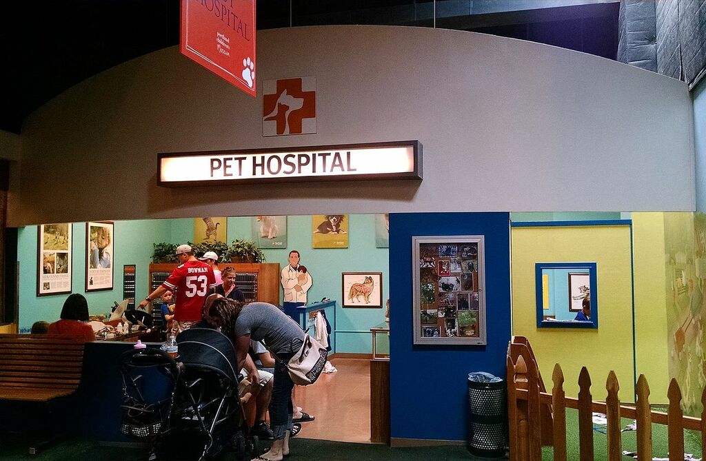 Portland Childrens Museum pet hospital - Oregon
