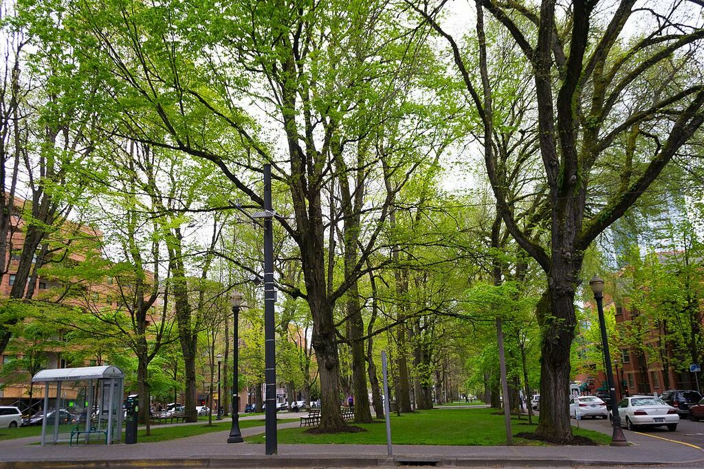 South Park Blocks
