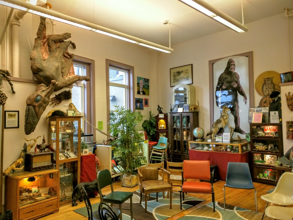 Inside the International Cryptozoology Museum