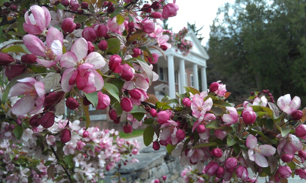 Insight Meditation Society's retreat center amidst blossoms